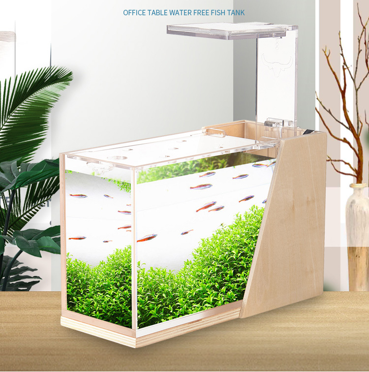 Bể cá mini để bàn Bể thủy sinh mini để bàn 04