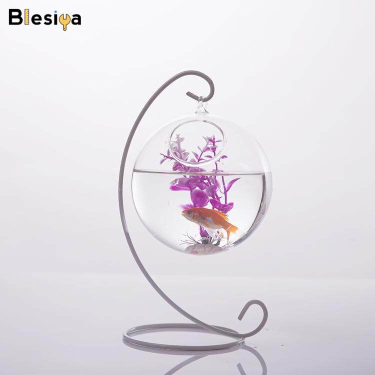 Blesiya 10cm Ball Shape Glass Wall Hanging Flower Vase Plant Bottle with Metal Stand