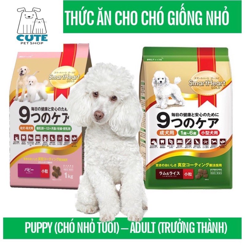 Thức ăn chó Poodle - Smartheart Gold Pug, phốc, poodle.