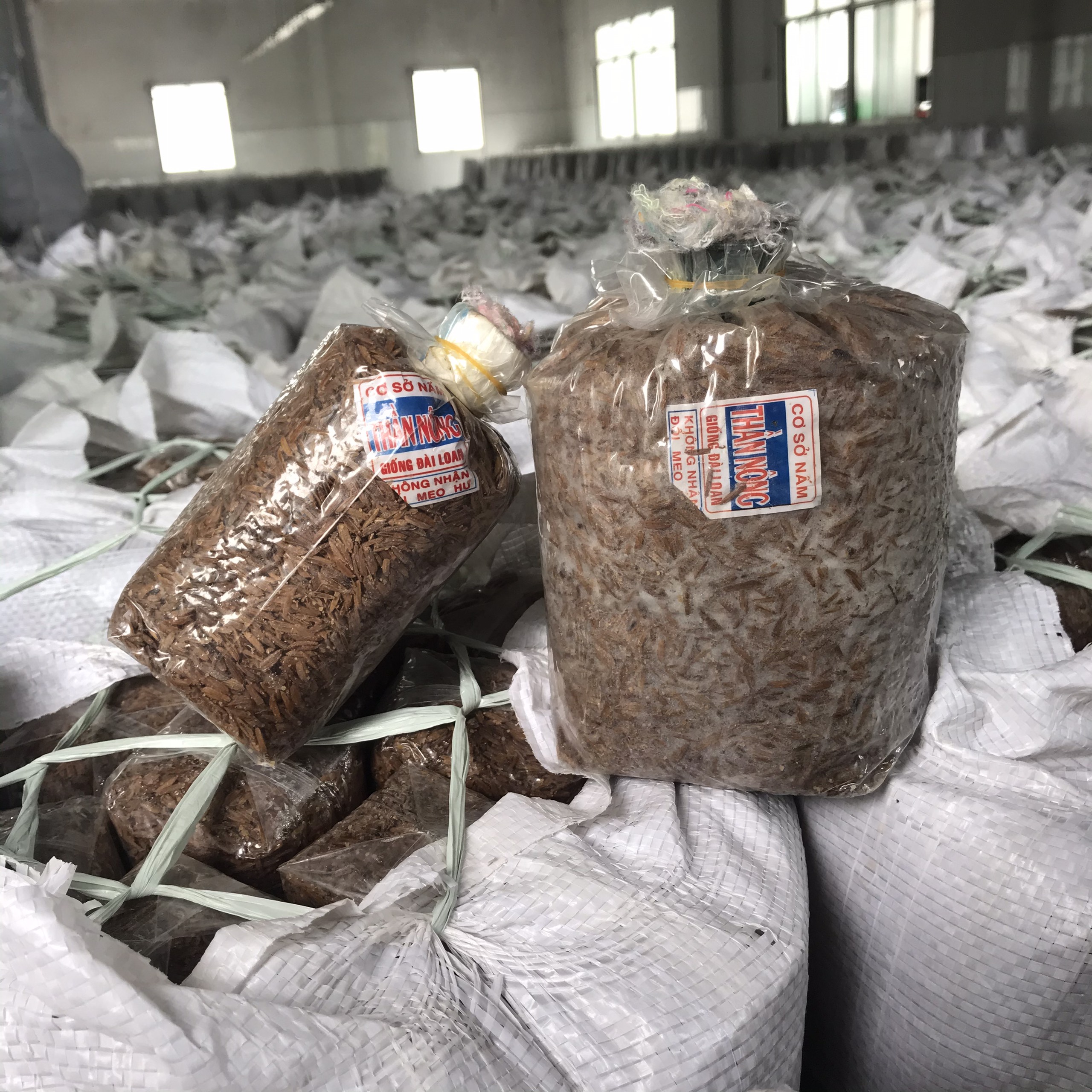 Dinh dưỡng nấm rơm Thần Nông (1kg)