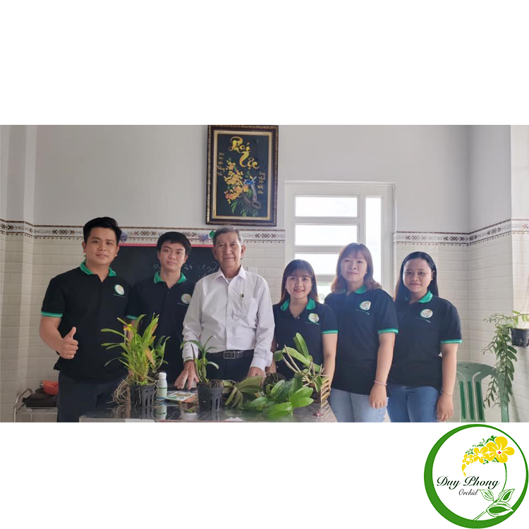Bộ Tứ Super Thầy Tám Ngọc | 4 chai super
