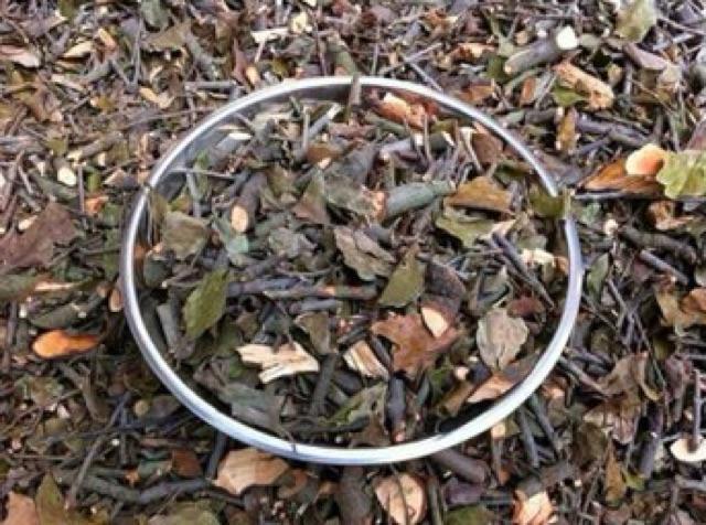 Cây tầm gửi gạo rừng 1 kg