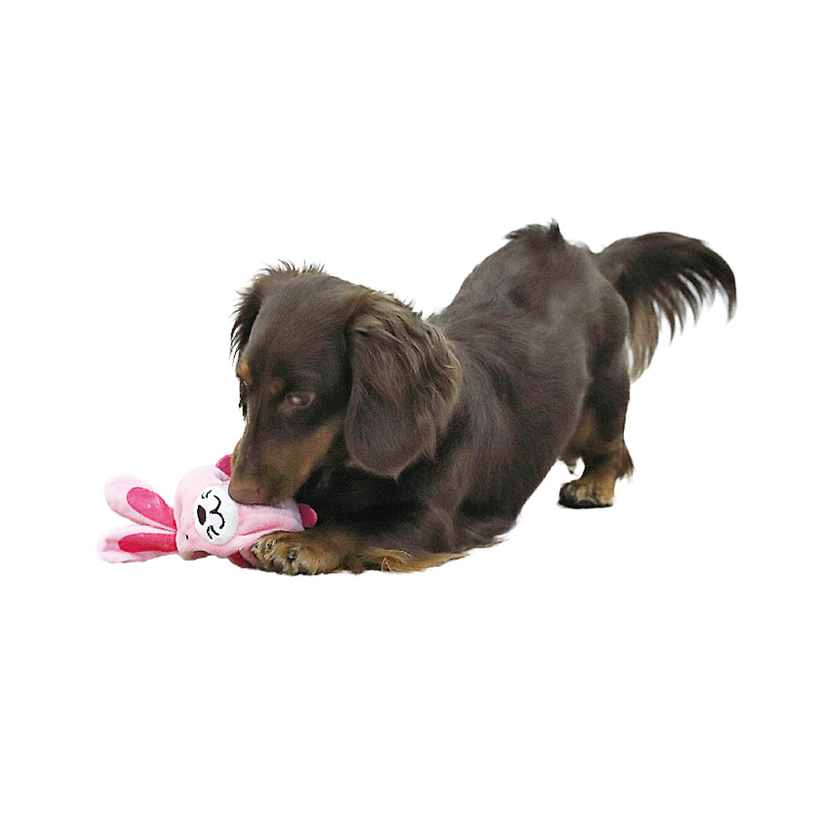 Đồ chơi Pupi cho chó Doggyman