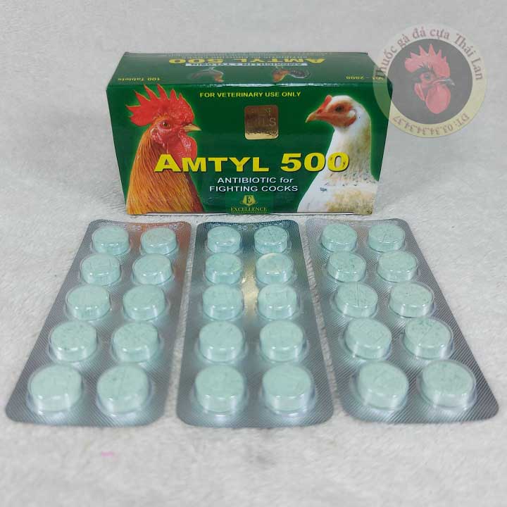 Ho Chi Minh City-(3-violin combo) amtyl 500-for stone chicken-prompt drug-hen, turmeric, facial redness, Tan