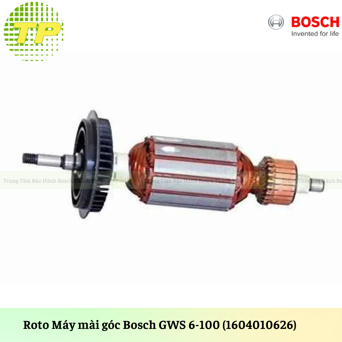 GWS 6-100 (Roto)