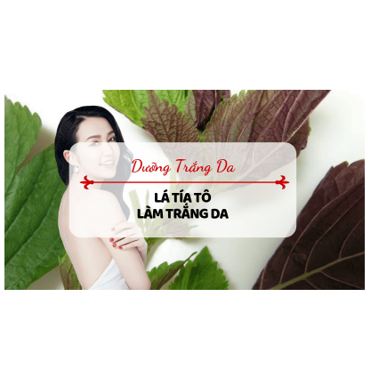 500g trà bí đao sấy khô vỏ xanh ruột trắng thơm ngon GT156