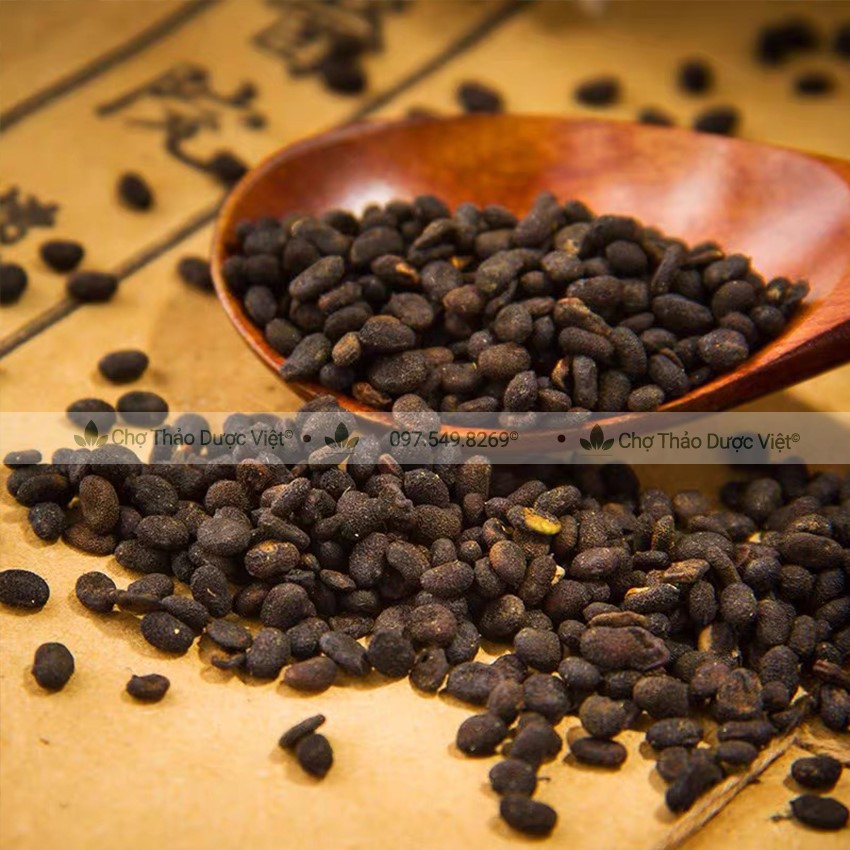 Phá cố chỉ khô 1kg, bổ cốt chỉ hỗ trợ bổ thận tráng dương, điều hòa kinh nguyệt, lợi tiểu