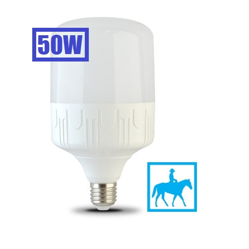 2 Bóng đèn LED Bulb trụ 50W E27