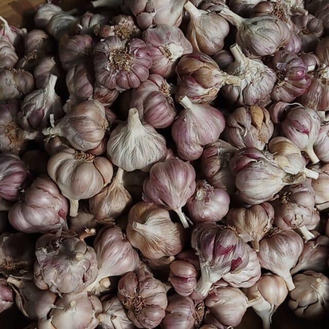 Tỏi khô thơm ngon 1 kg