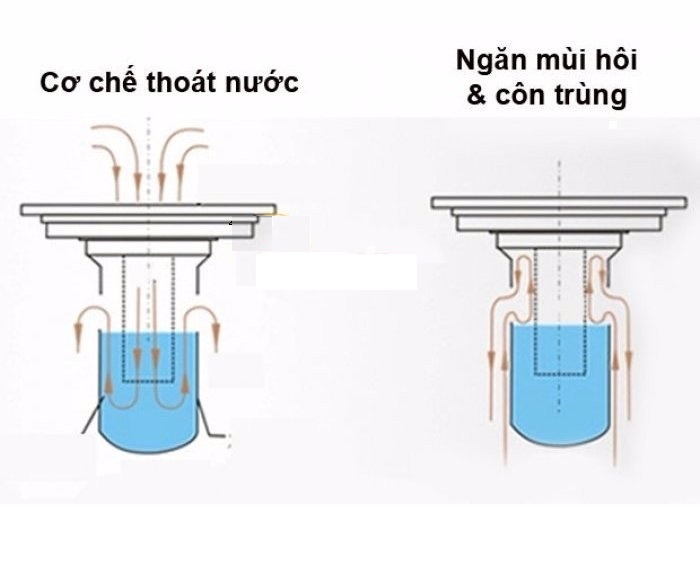 Phễu thoát nước chống tràn ngược, chống mùi TD-102