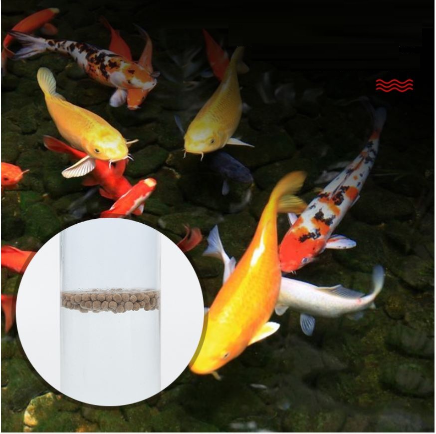Combo 2 gói cám Shanghai hạt nhỏ 1mm (2 túi 100g)