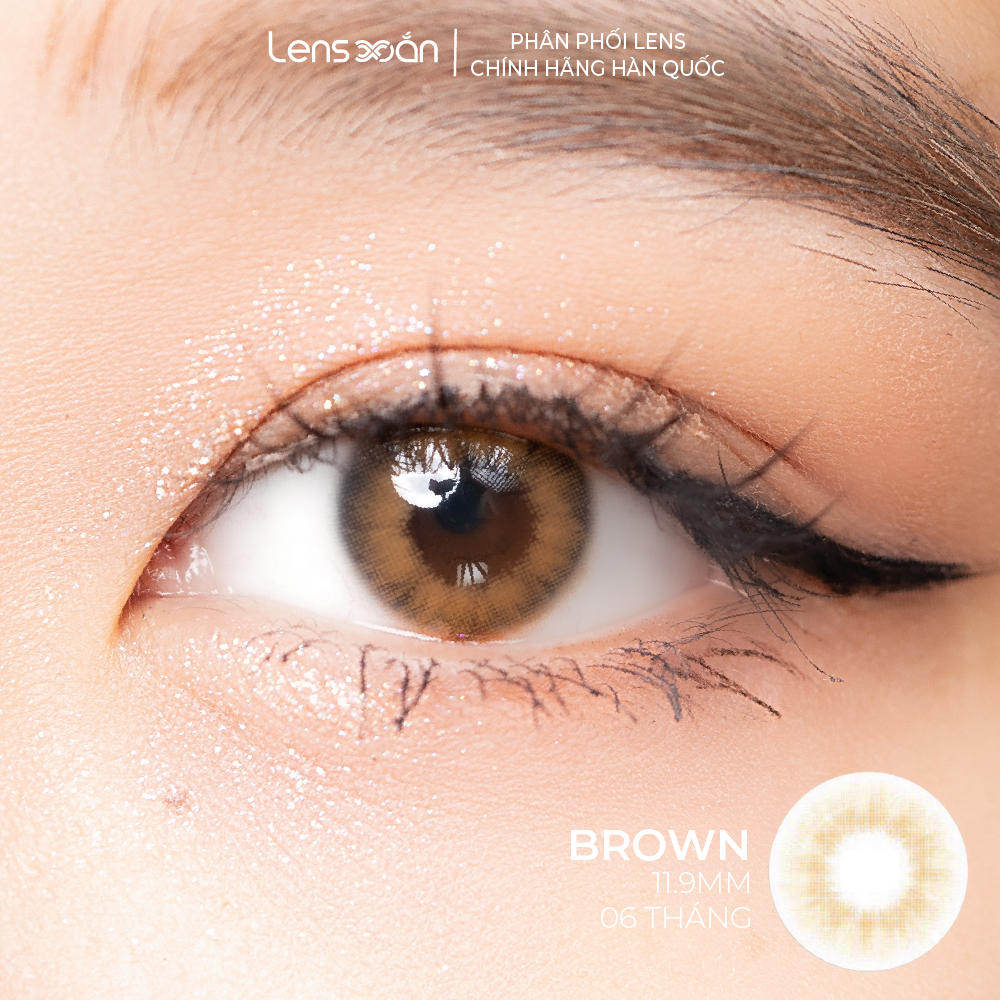 Kính áp tròng cận 6 tháng lens xoắn lens sáng nhẹ b.s.cor spanish gray brown