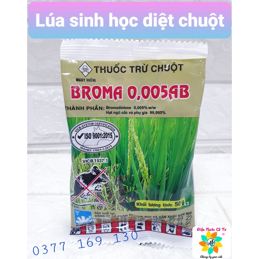 2 miếng keo dính chuột USA