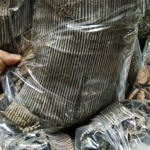 Cây đỗ trọng khô - 1kg