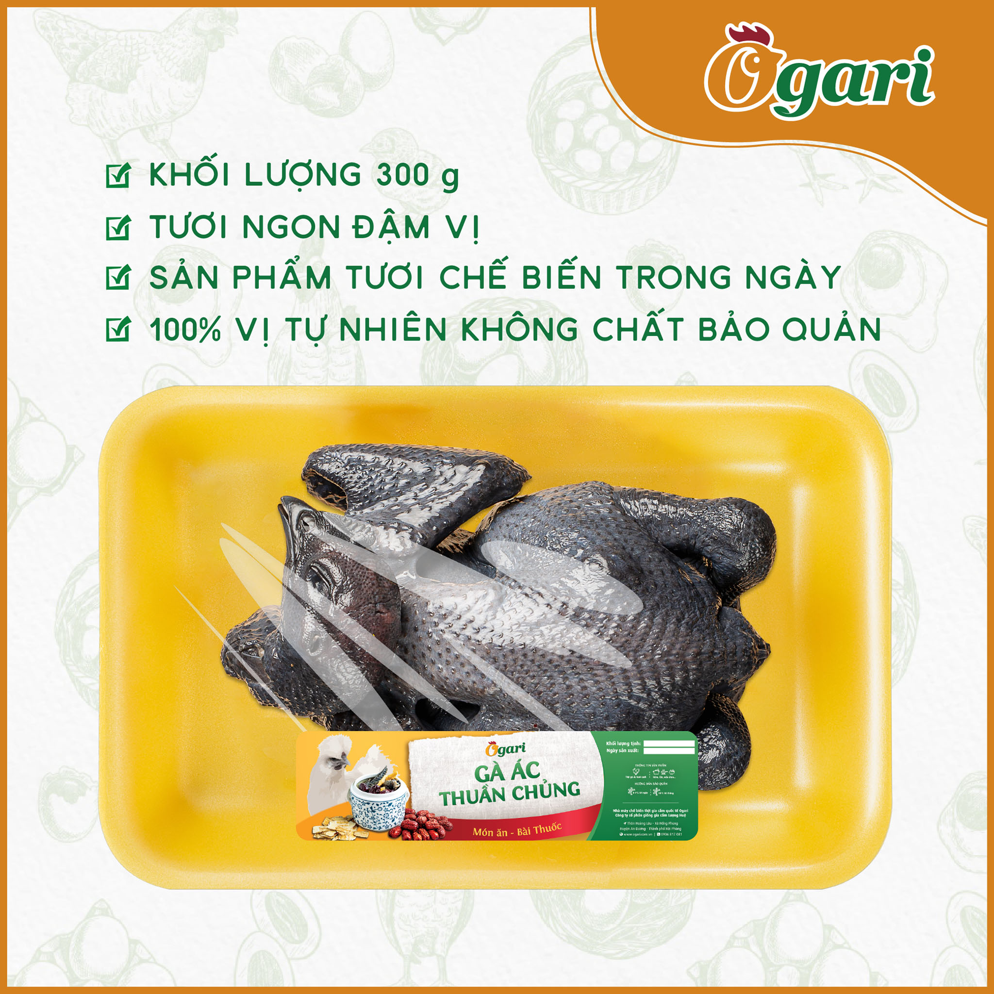 Gà Ác Thuần Chủng Ogari