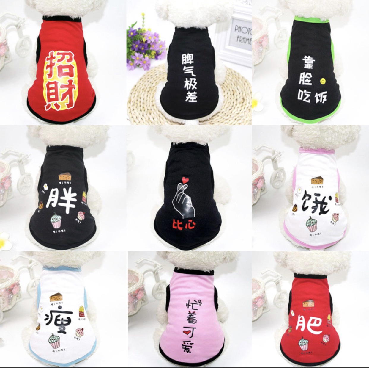 [HCM]Áo thun mùa hè NEW STYLE cho chó mèo