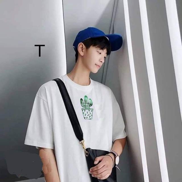 Áo phông chậu xương rồng DTR0619