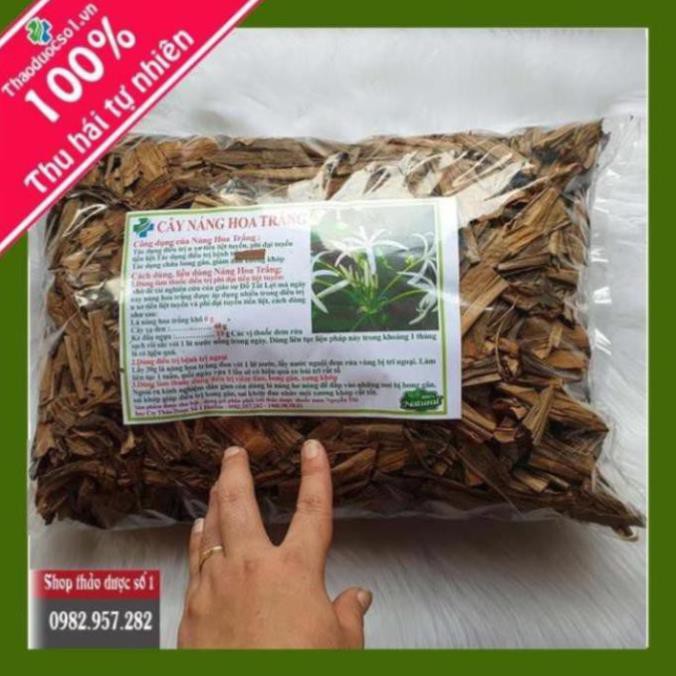 Cây náng hoa trắng Khô 1kg