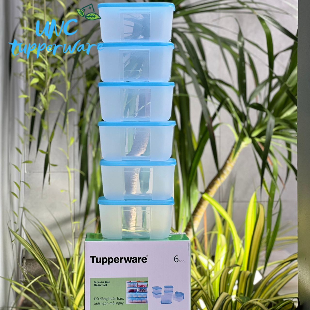 Bộ hộp trữ đông Tupperware Basic Set 650ml (6 Hộp)