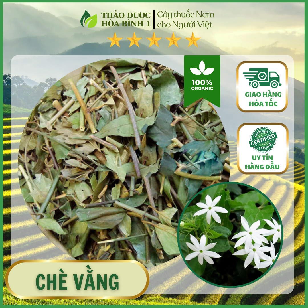 500gr chè vằng sẻ nghệ an đã sao vàng lợi sữa giảm béo.