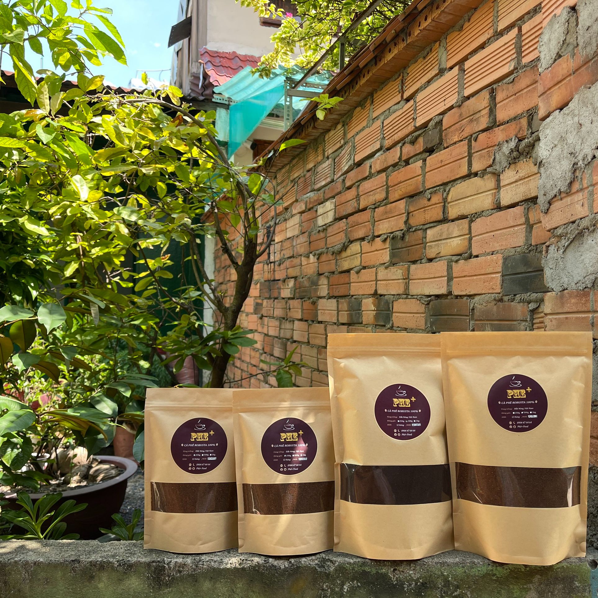 Cà Phê Robusta [PHE+] 1kg- 100% Nguyên Chất Đắk Nông