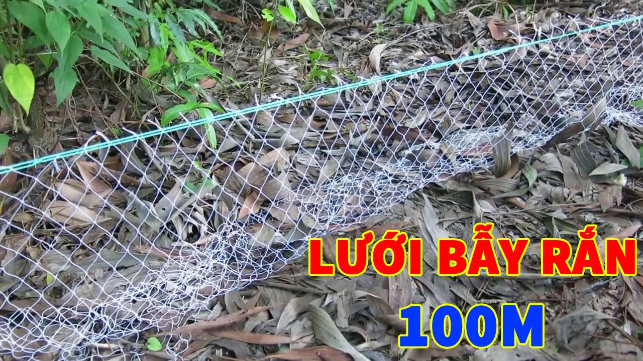 Lưới bẫy rắn dài Từ 20M đến 100M ( Đặt theo yêu cầu )
