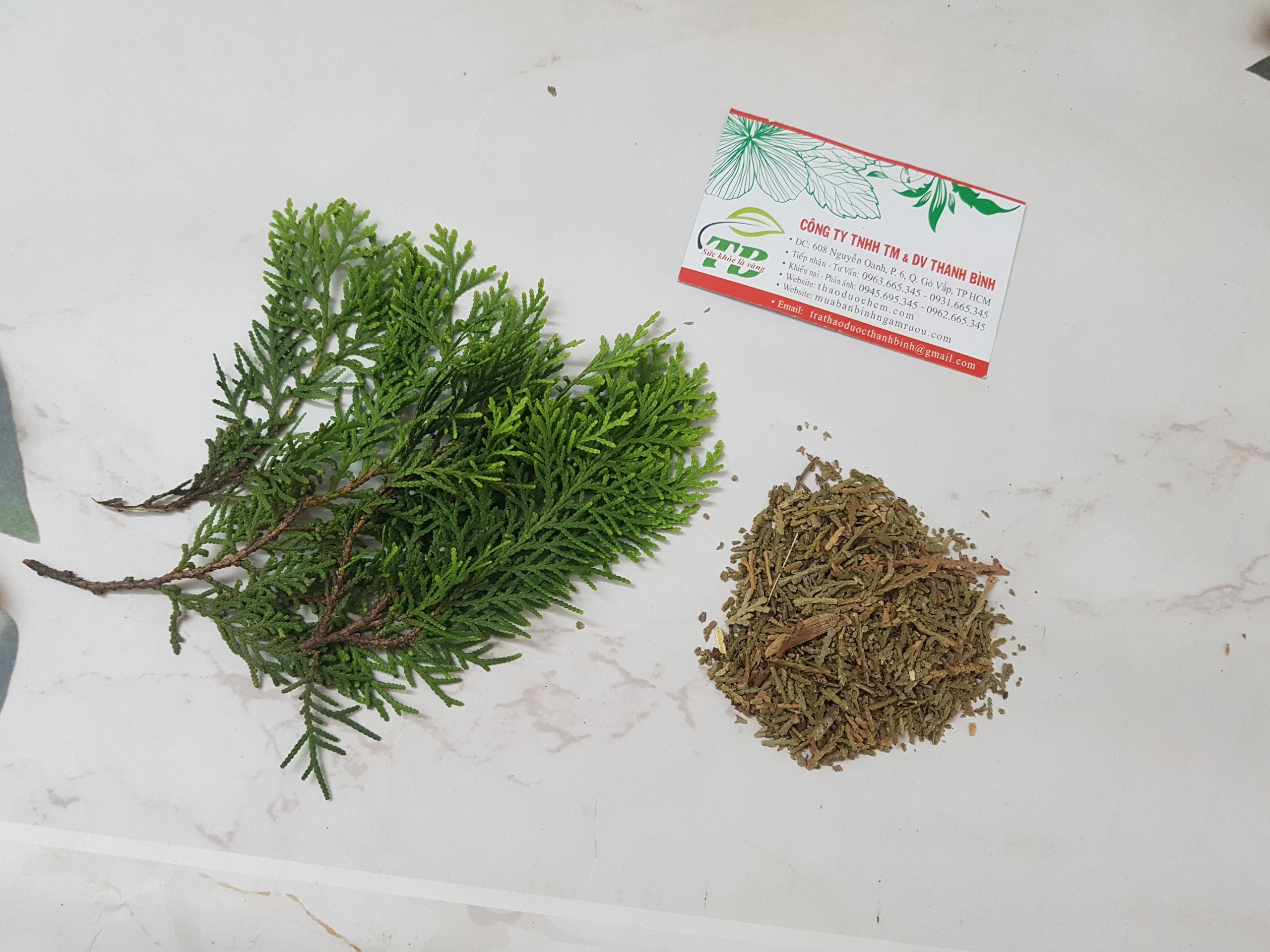 Trắc Bá Diệp 100G - Hàng Công Ty Giá Tốt