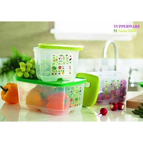 Bộ hộp trữ mát Vensmart 4 hộp Tupperware