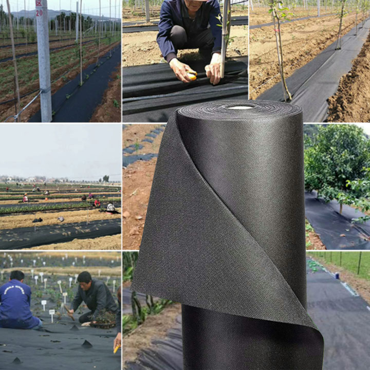 Bạt phủ đất chống cỏ mọc, chống sói mòn đất