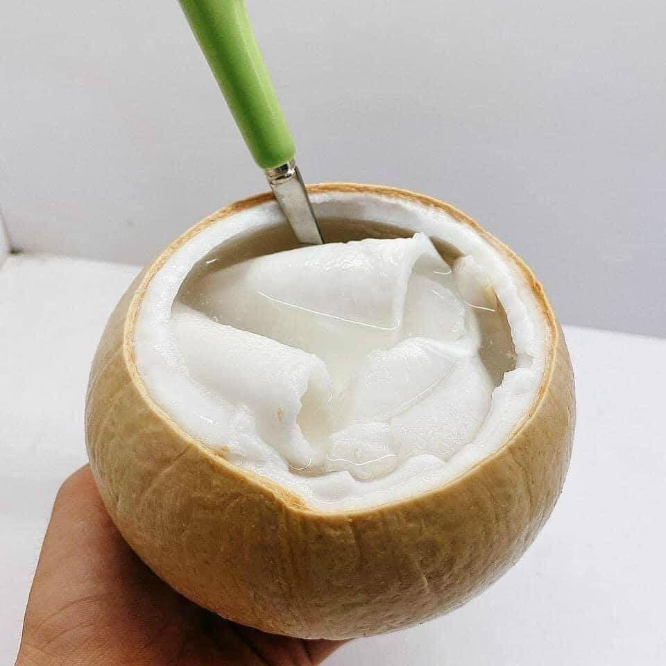 Dừa xiêm trọc Bến Tre