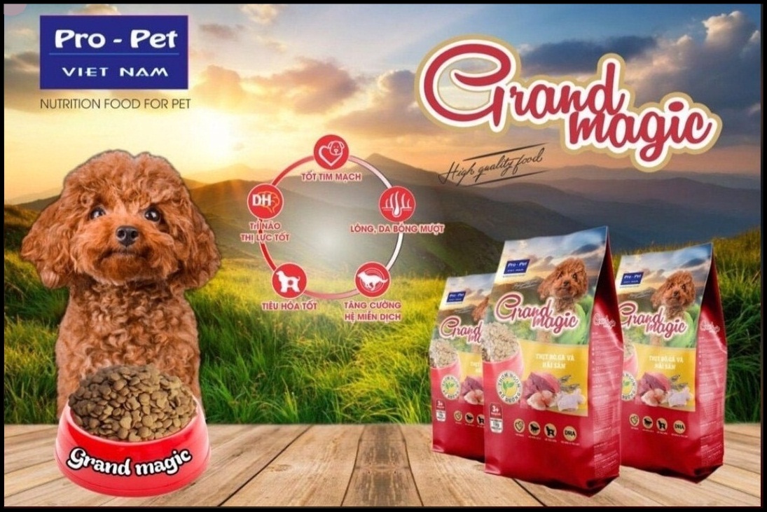 [HCM]Thức ăn hạt cho CHÓ mọi lứa tuổi. Magic Grand Poodle 1kg.