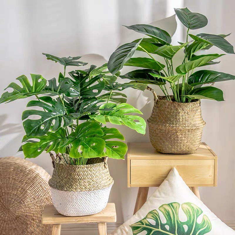 Cây Giả  Cây 18 Lá Cỡ To 70cm