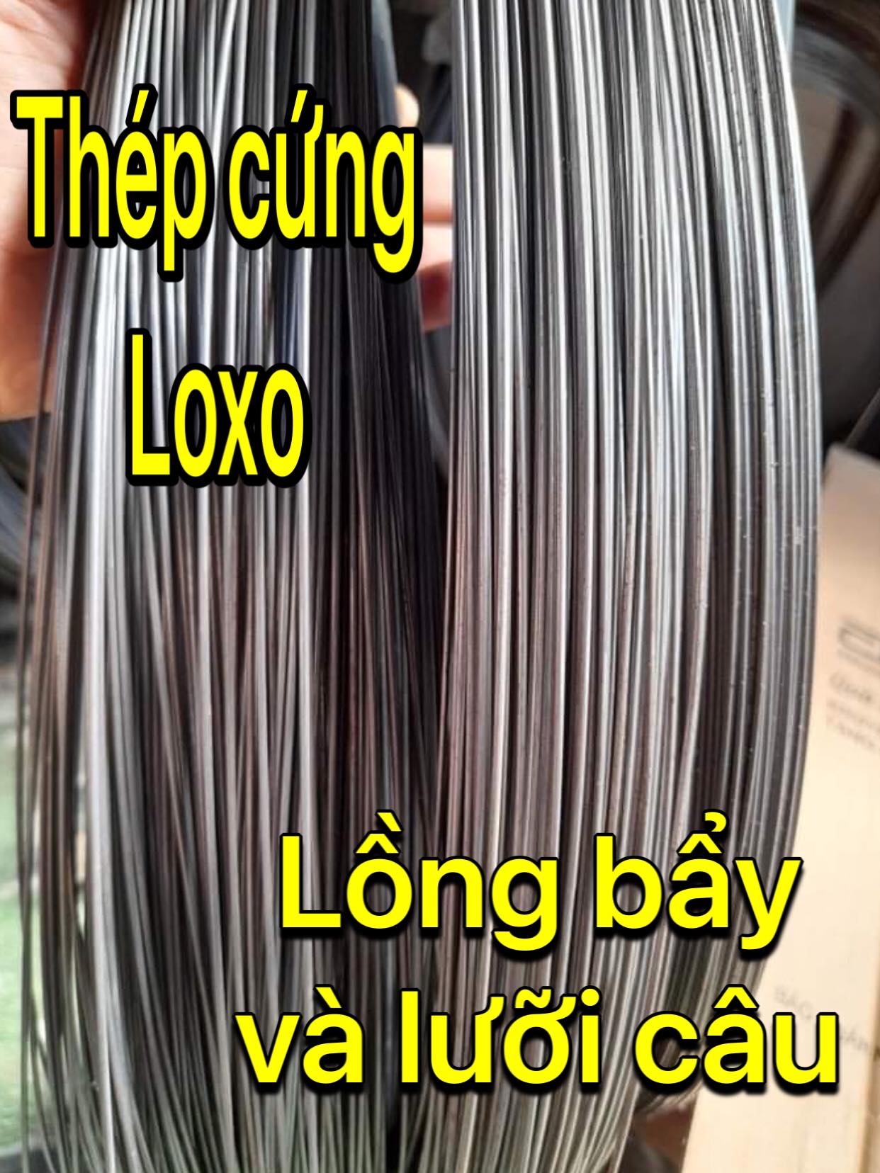 Thép cứng loxo lồng bẩy và lưỡi câu.