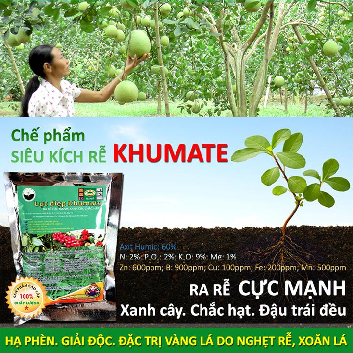 Chế phẩm sinh học KHUMATE -  SIÊU KÍCH RỄ