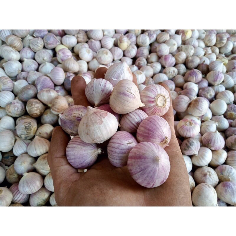 Tỏi cô đơn làm tỏi đen _ 0,5kg