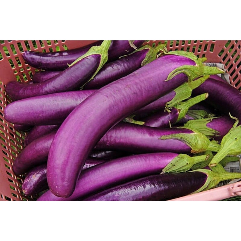 Hạt giống Cà Nâu Cơm Xanh 89