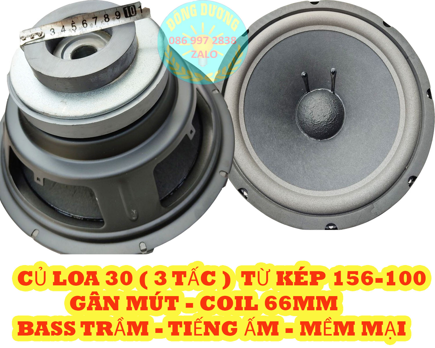 LOA BASS 30 TỪ KÉP 156 - 100 CÔN 65 GÂN MÚT - GIÁ HAI LOA