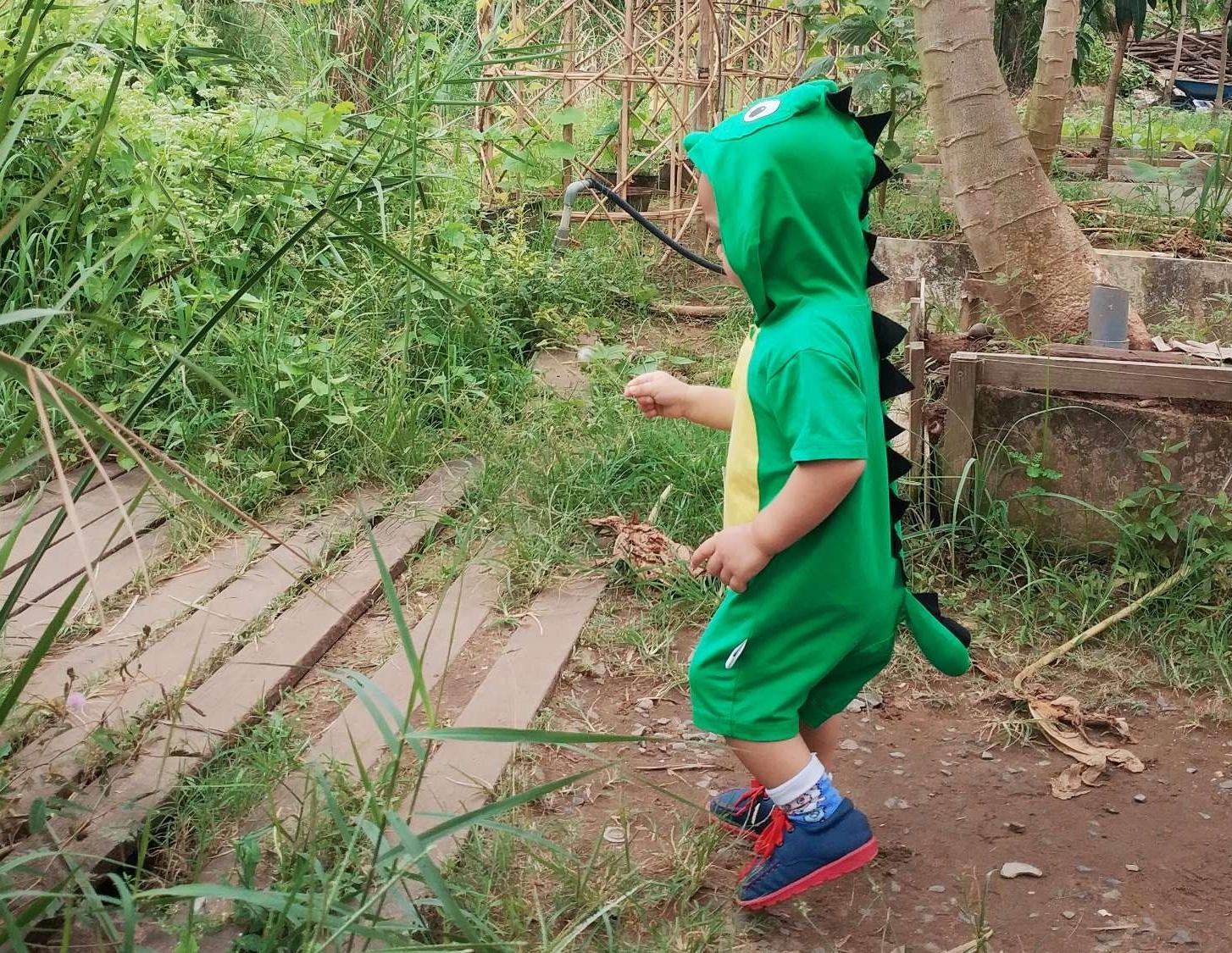Body hình thú - Khủng long (100% cotton)
