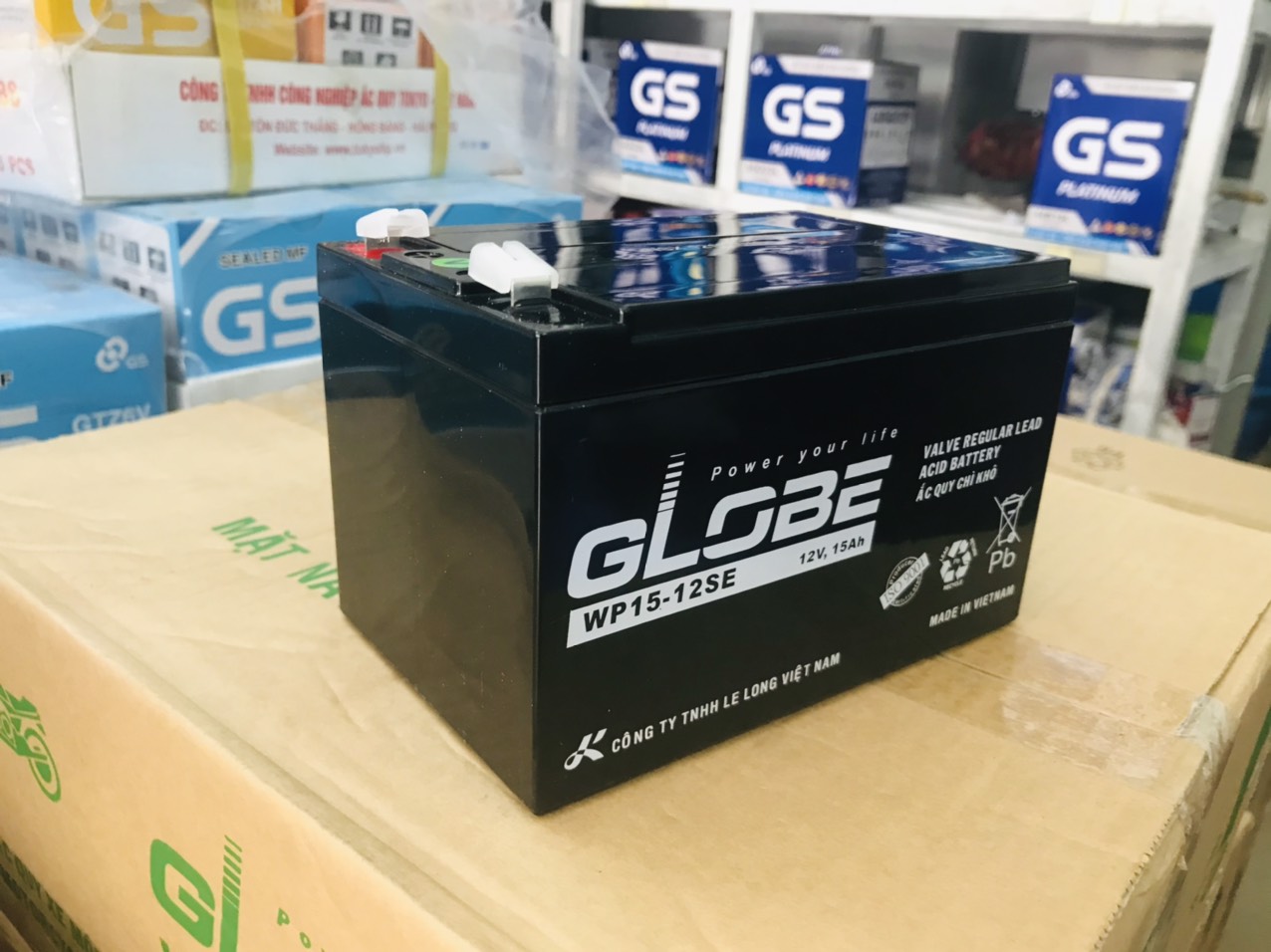 BÌNH ẮC QUY WP15-12SE (12V - 15Ah ) - GLOBE cho xe đạp điện, xe máy điện