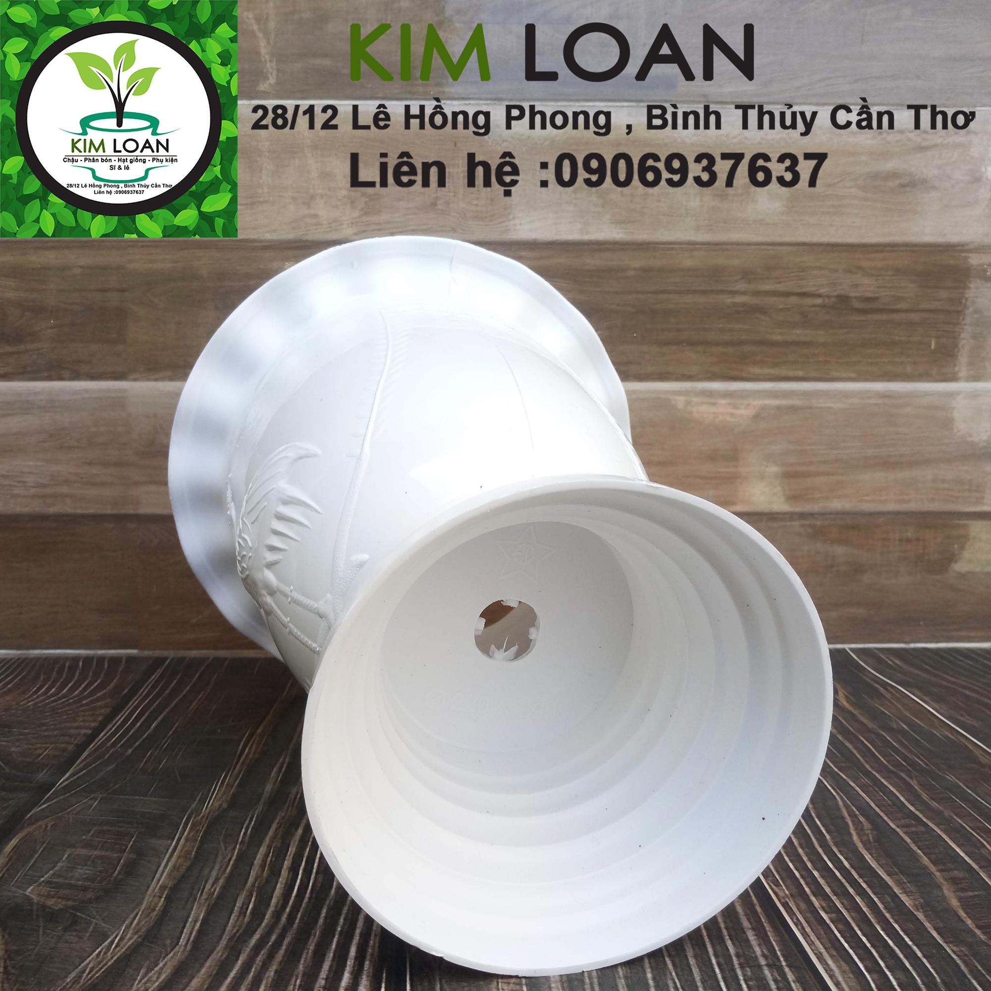 Combo 2 chậu ly kem hoa văn cò bắt cá 23x30cm