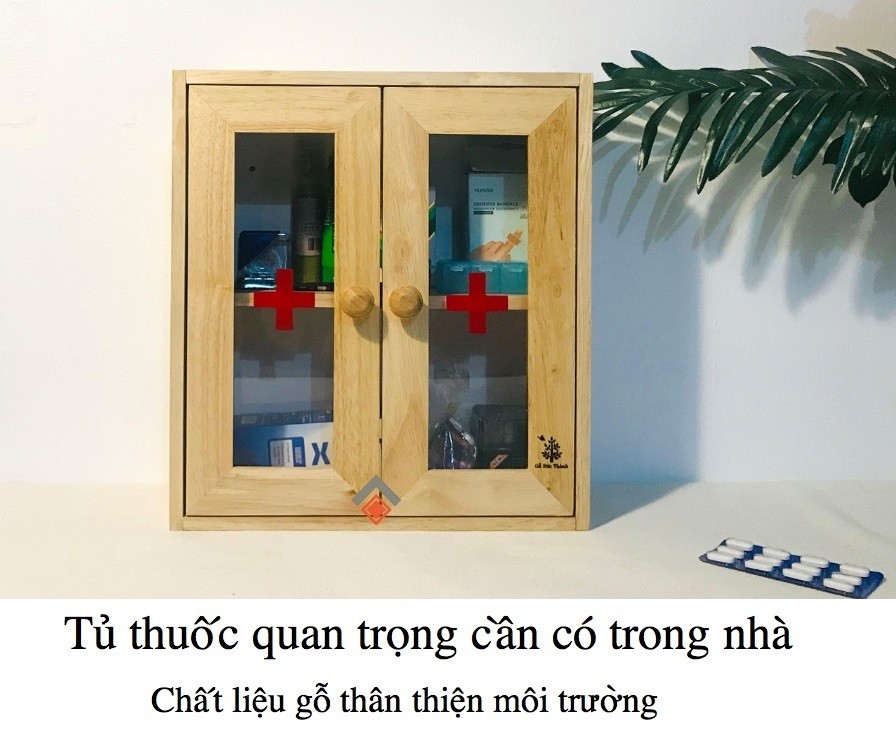 Tủ thuốc đôi cửa mica Gỗ Đức Thành
