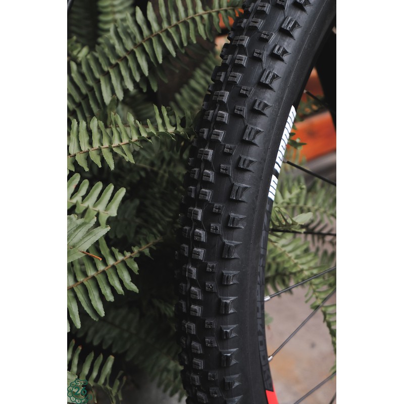 Vỏ xe đạp MTB Schwalbe Rapid Rob 27.5" x 2.25