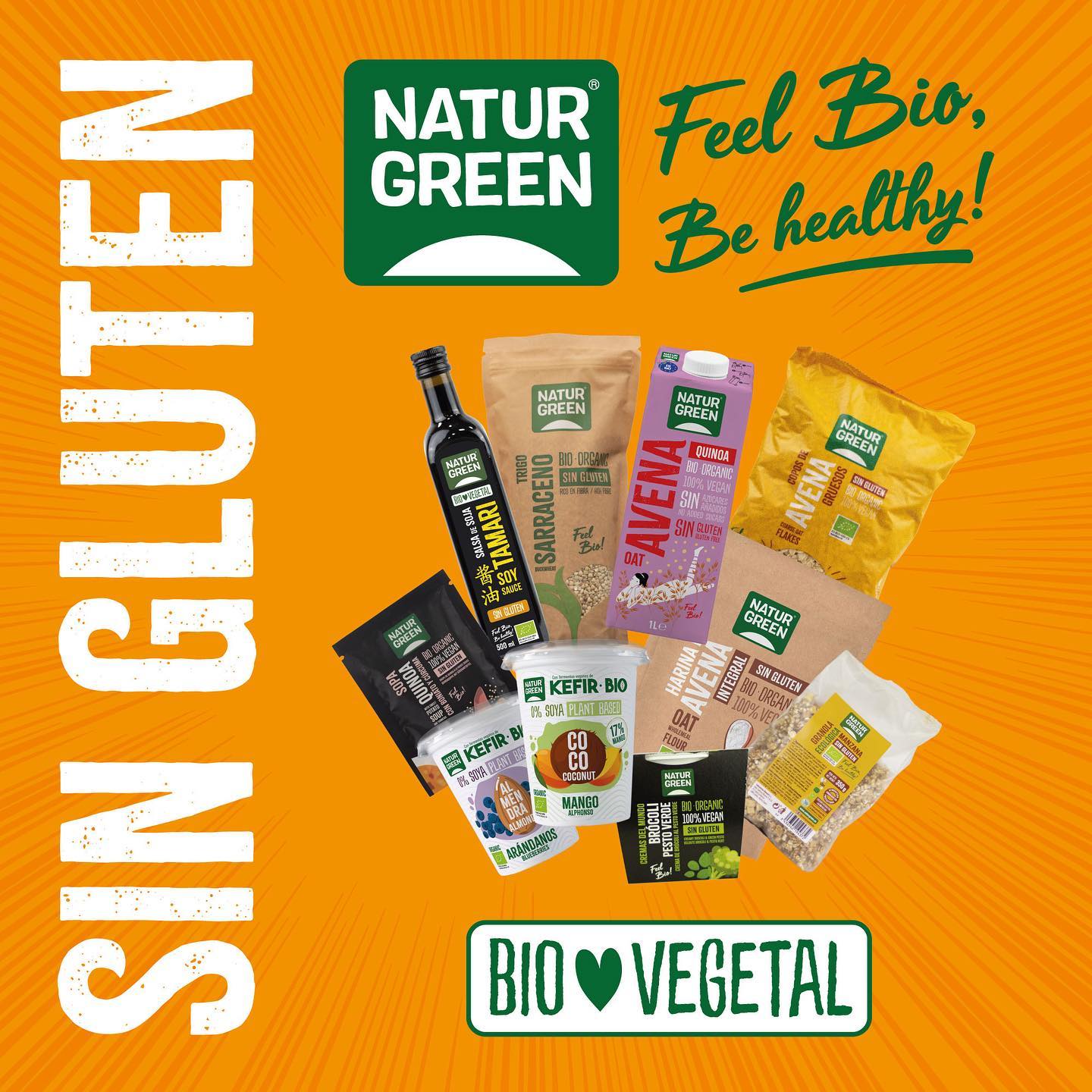 Hạt Chia Hữu Cơ NaturGreen