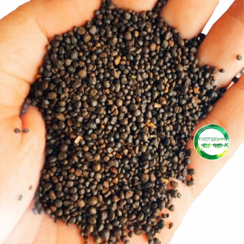 Sỏi suối nâu tự nhiên - Trãi nền trang trí bể cá