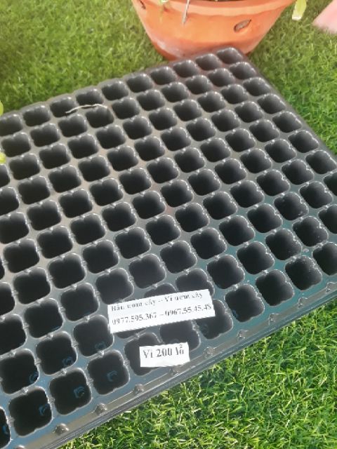 10 khay ươm  hạt 200 lỗ