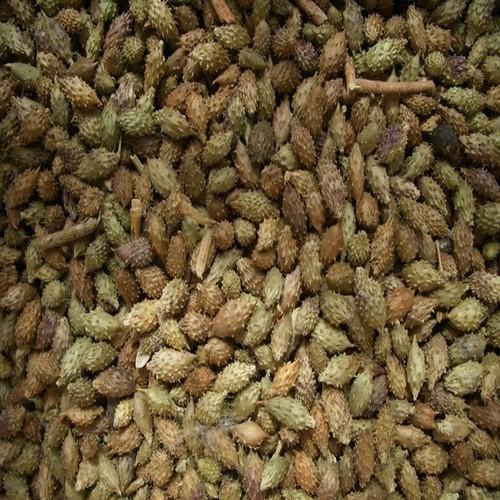 ké dầu ngựa 500g