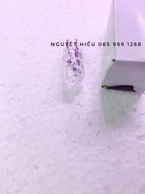 Bóng đèn halogen chân ghim sợi đốt 24V 50W