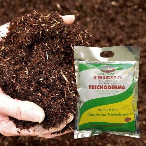 [Ưu Đãi] Vi sinh vật cải tạo đất Trichoderma ĐT (1kg/bịch)