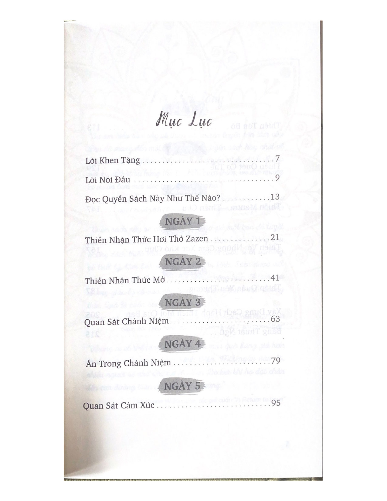 Sách - 10 Ngày Hành Thiền-Vanlangbooks