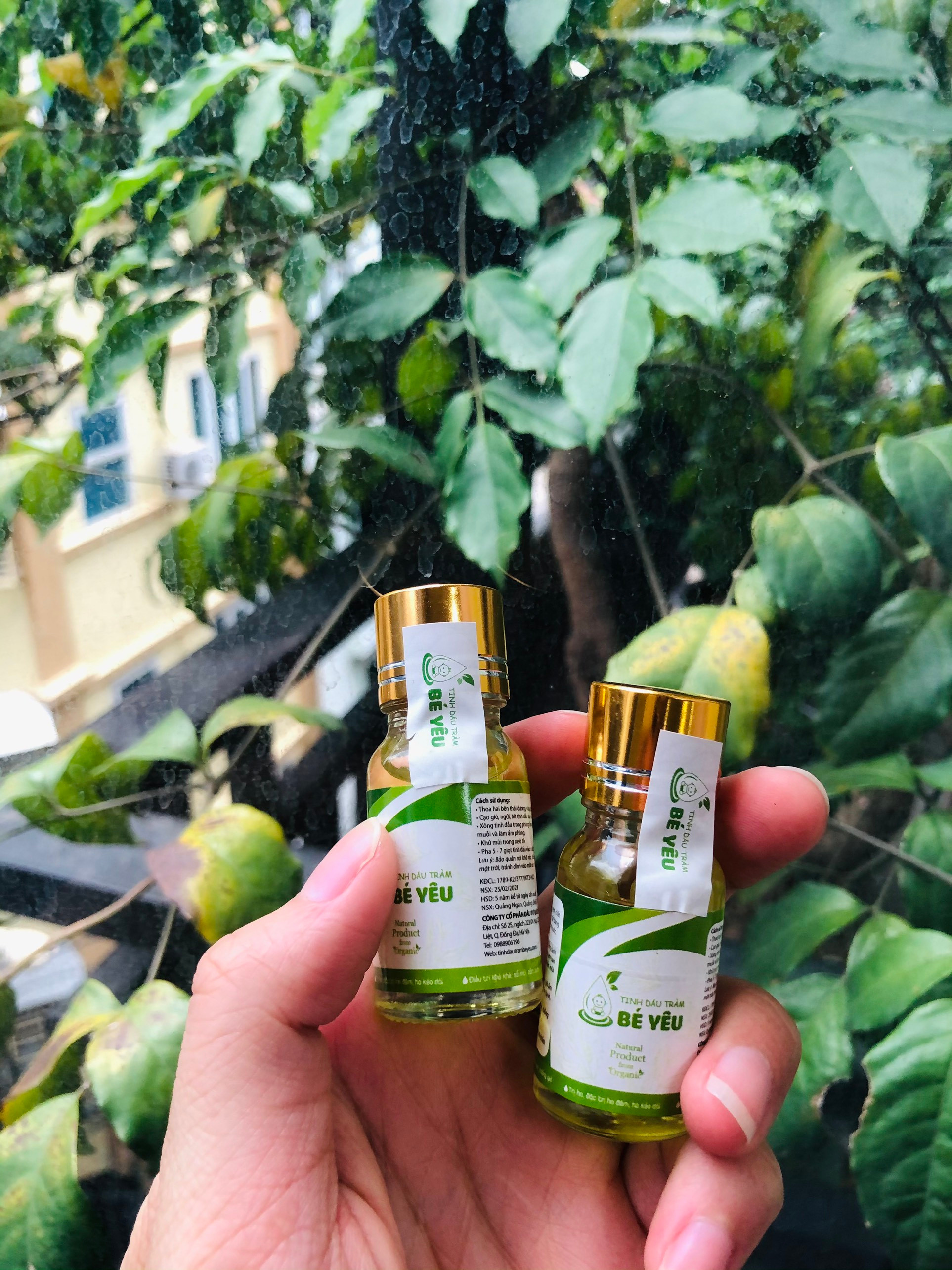 Tinh dầu tràm bé yêu mini (loại 10ml)